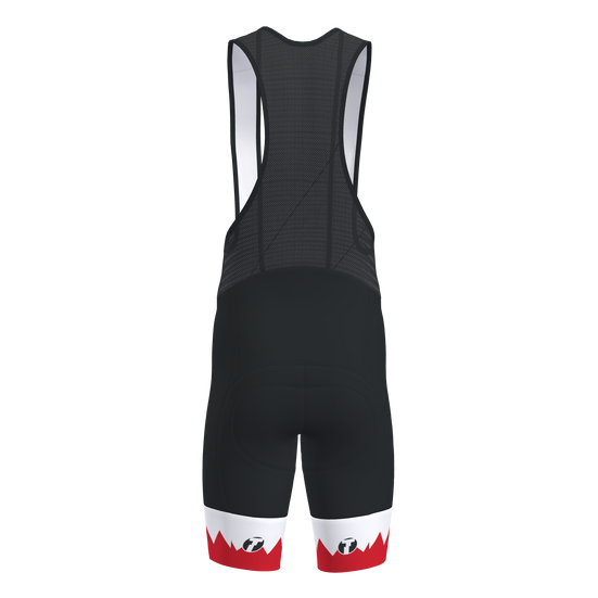 Victory 2.0 Bib Shorts Men