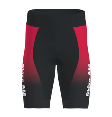 Drive 2 Shorts Men