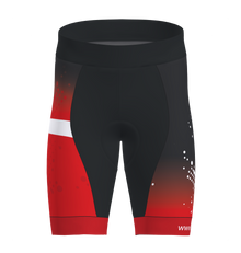 Drive Tri Shorts Men