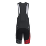 Pro 3.0 Bib Shorts Men