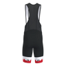 Victory 2.0 Bib Shorts Men