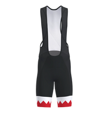 Pro 3.0 Bib Shorts Men