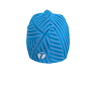 Bi-Elastic Cap