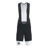 Victory 2.0 Bib Shorts Men
