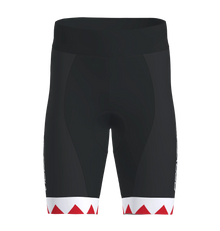 Drive 2 Shorts Men