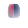 Bi-Elastic Cap