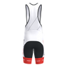 Pro 3.0 Bib Shorts Men