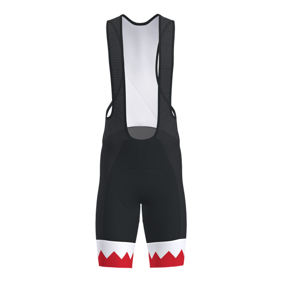 Pro 3.0 Bib Shorts Men