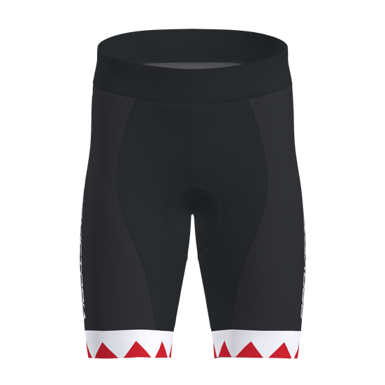 Drive Tri Shorts Men